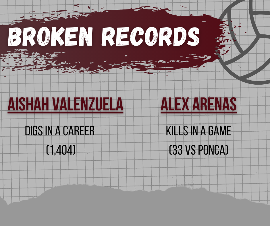 Volleyball Records